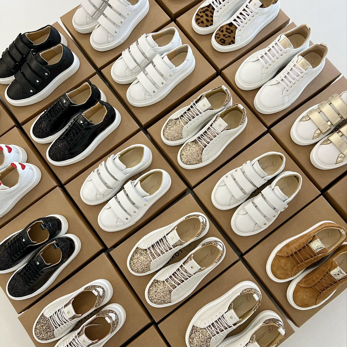 All models
